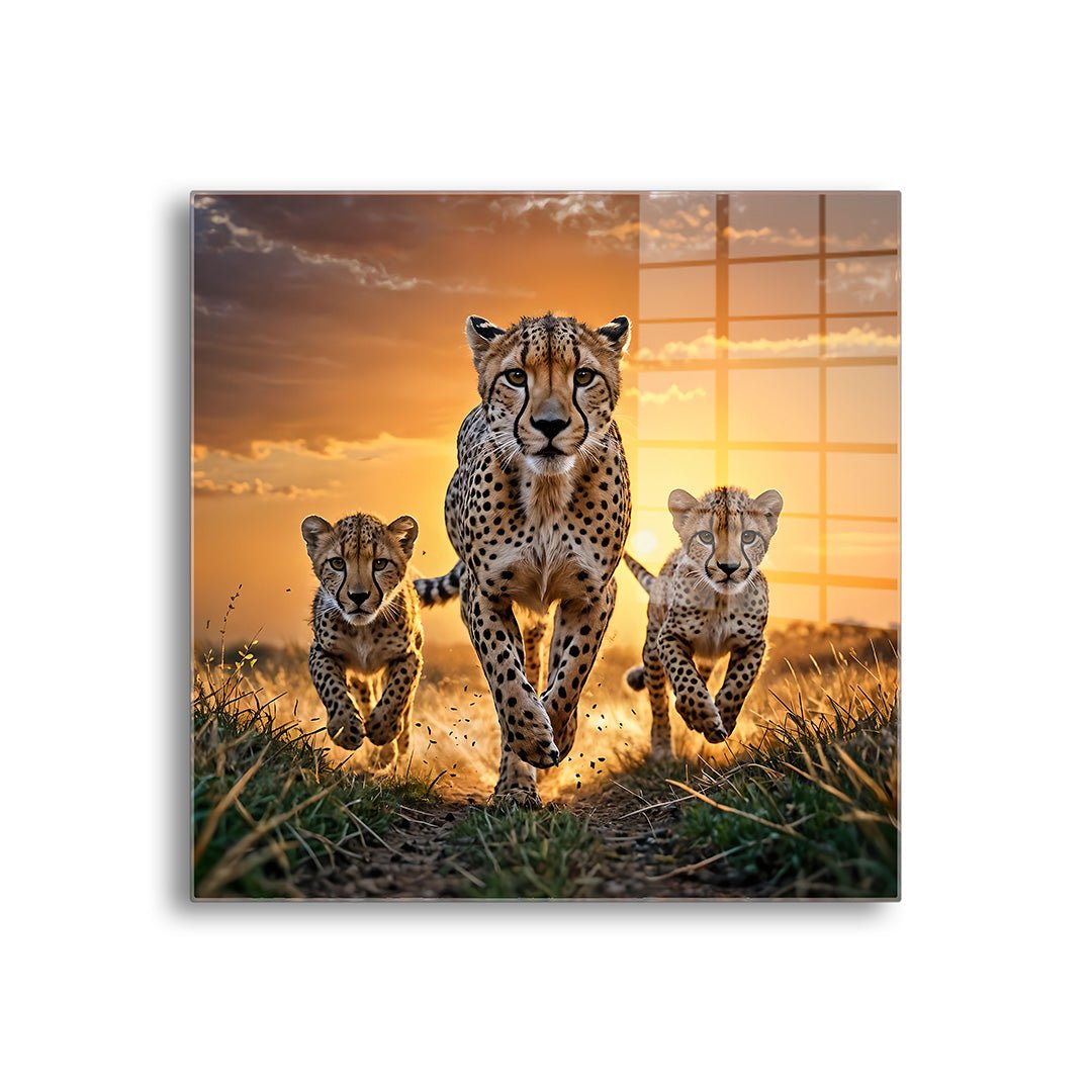 JAGUAR FAMILIE